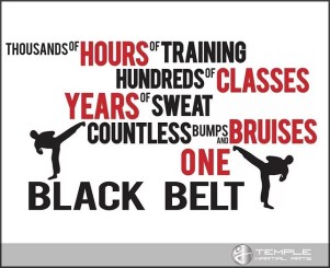 temple-martial-arts-quote-1st-dan-grading-results-kickboxing